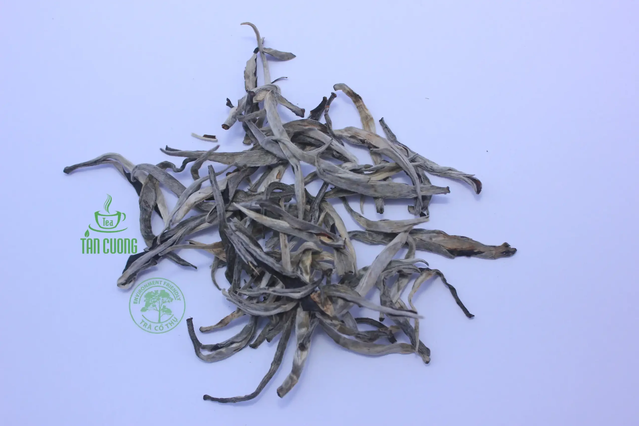 Hồng trà Shan Tuyết