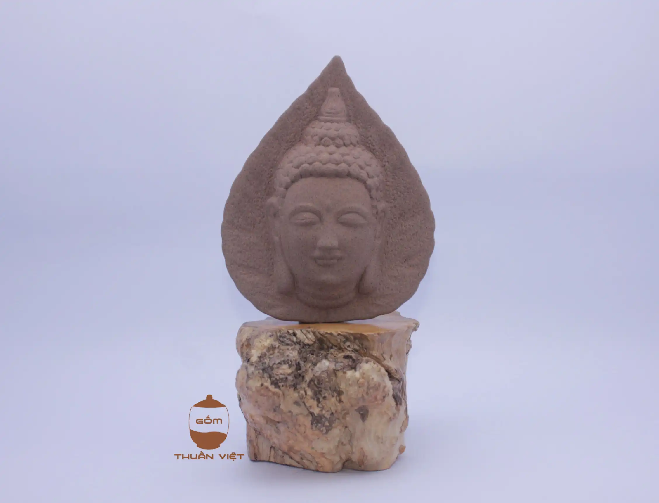 Cội Bồ-Đề Đức Phật